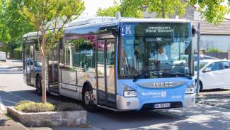Bus 