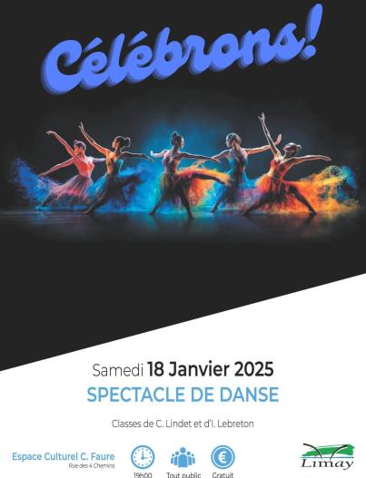 affiche spectacle de danse janvier 2025