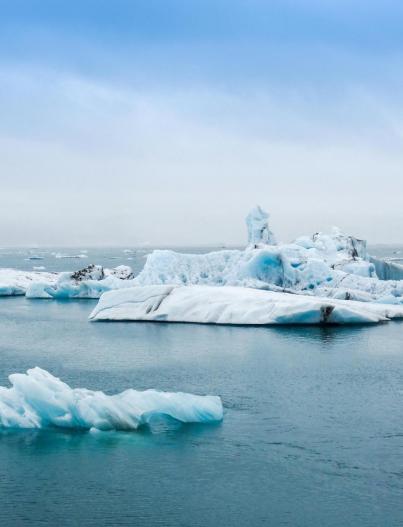 dérèglement climatique