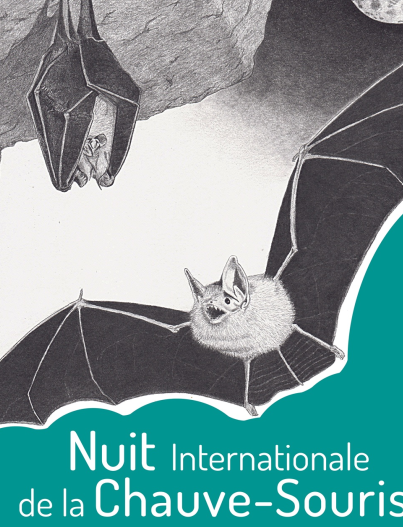 Nuit de la chauve-souris RNR