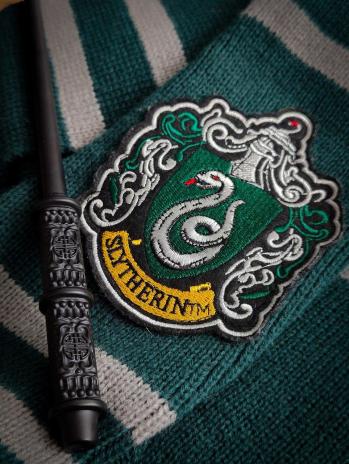 Harry Potter serpentard 