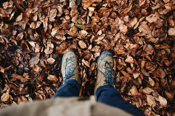 chaussures randonnée