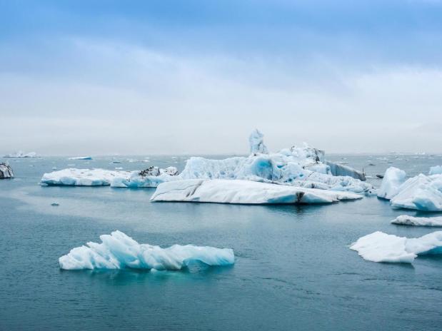 dérèglement climatique