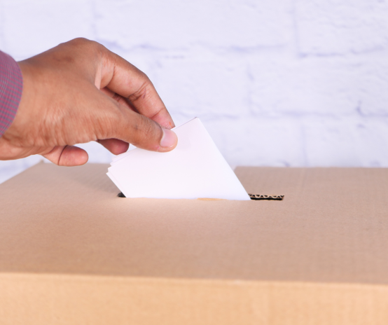vote