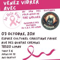 Affiche concert octobre rose 