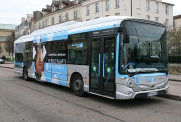 bus