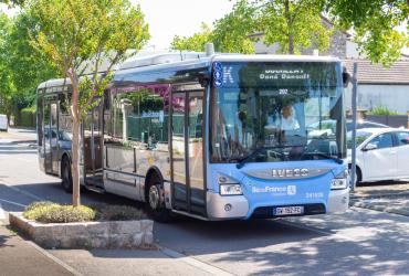 Bus 